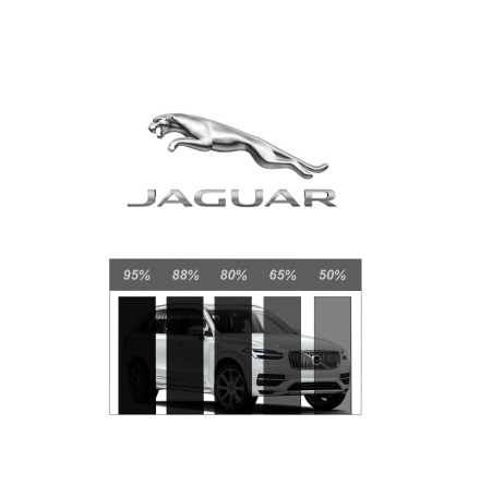 Pre-Cut Professional Film - JAGUAR