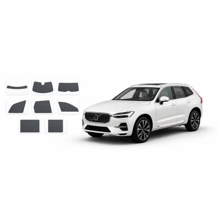 Precut Removable Tint ALL car models!